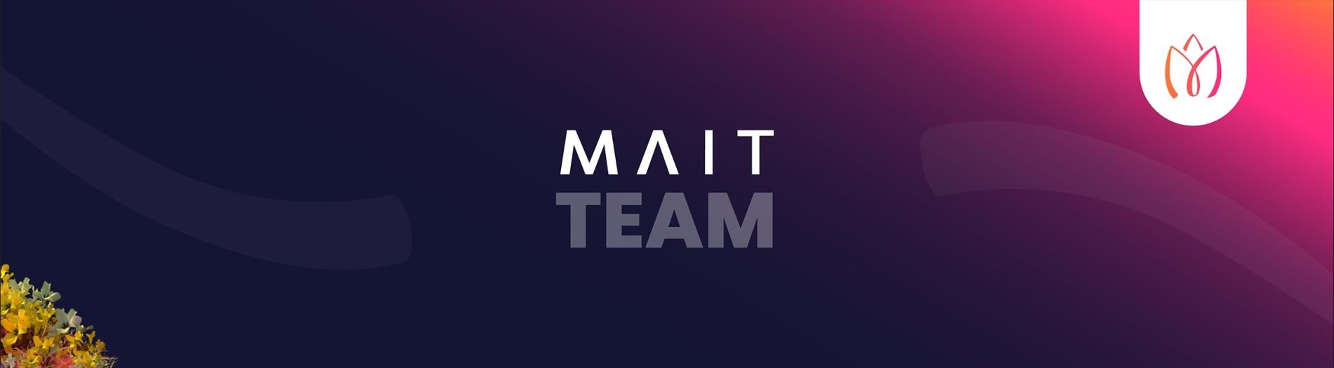 MAIT team