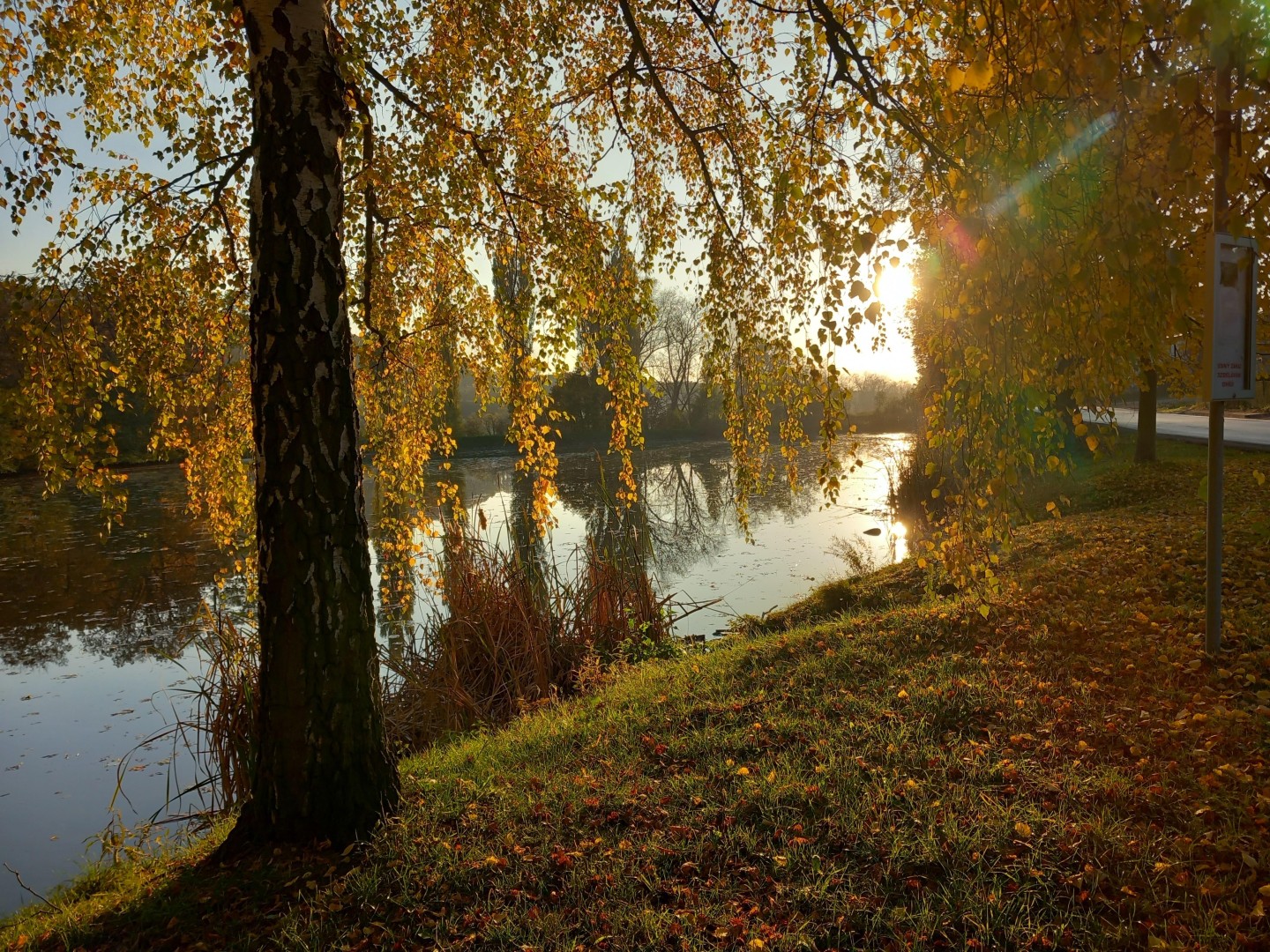 Petra Šantínová